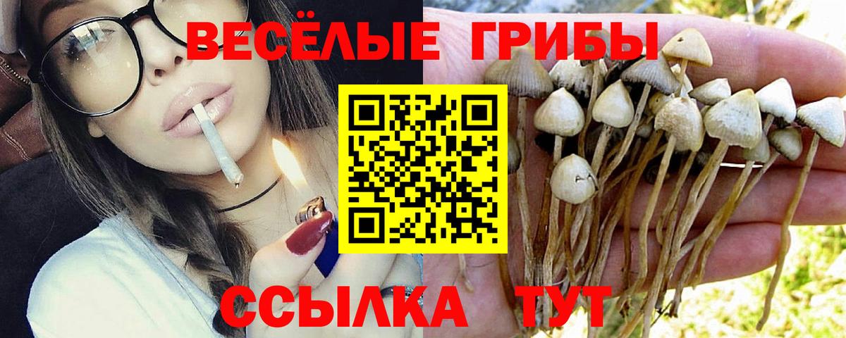 Знаменск  Галлюциногенные грибы мицелий  Псилоцибиновые грибы GOLDEN TEACHER  где можно купить наркотик  Вход с VPN 